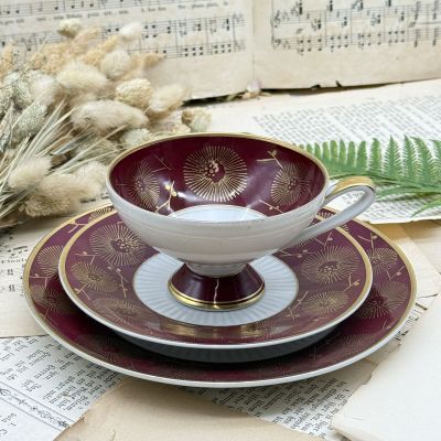 Чайное трио Von Schierholz 220 мл Германия