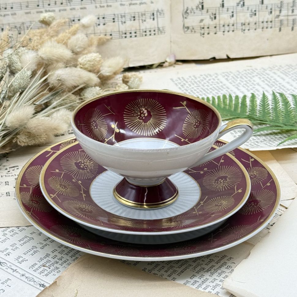 Чайное трио Von Schierholz 220 мл Германия