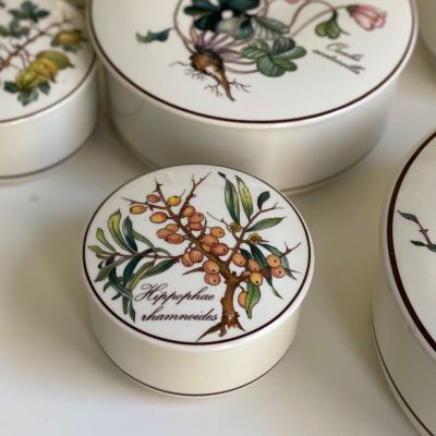 Шкатулка Botanica Облепиха 8 см Германия