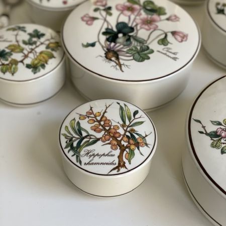 Шкатулка Botanica Облепиха 8 см Германия 