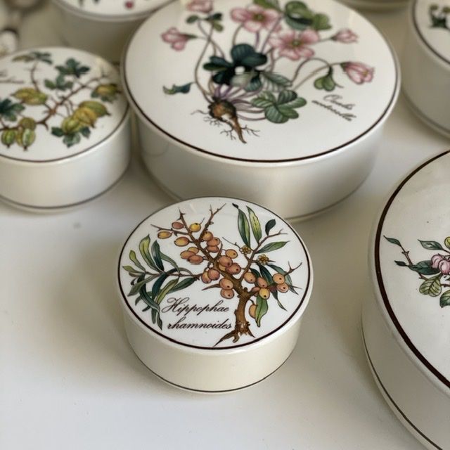 Шкатулка Botanica Облепиха 8 см Германия