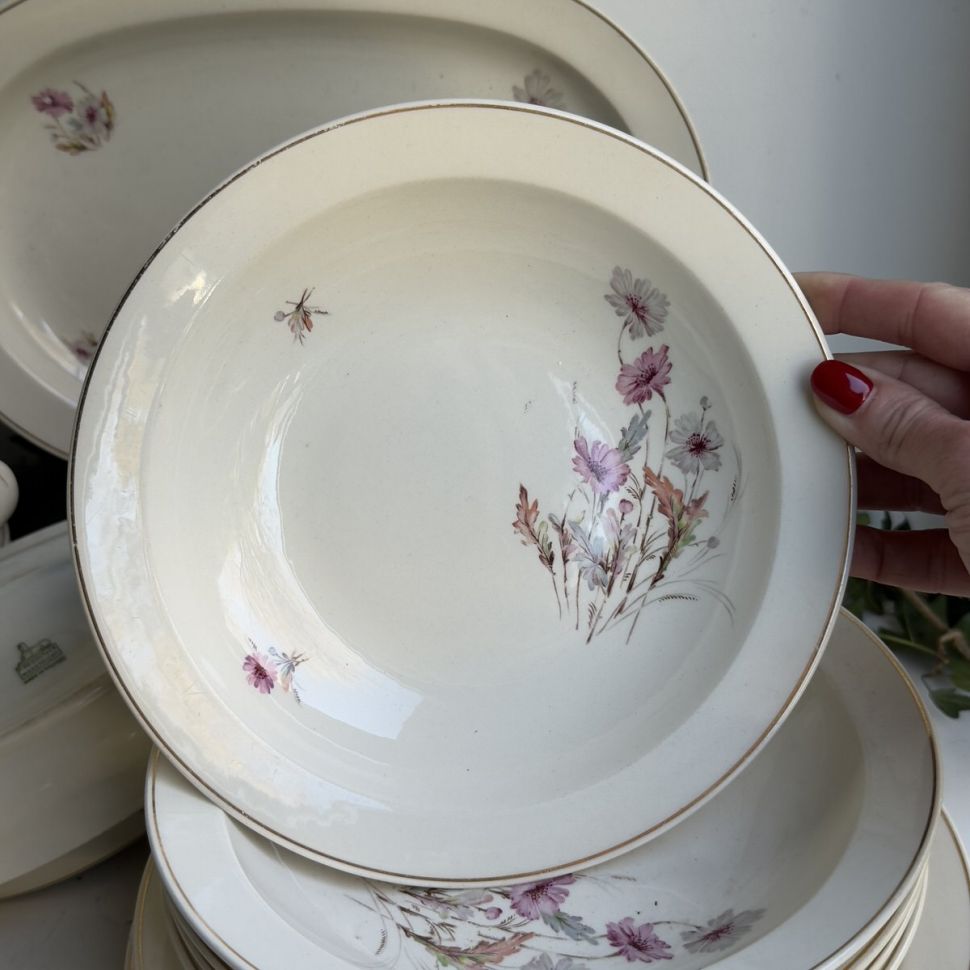 Тарелка глубокая Maastricht Petrus Regout Полевые цветы 22 см Голландия 125 лет