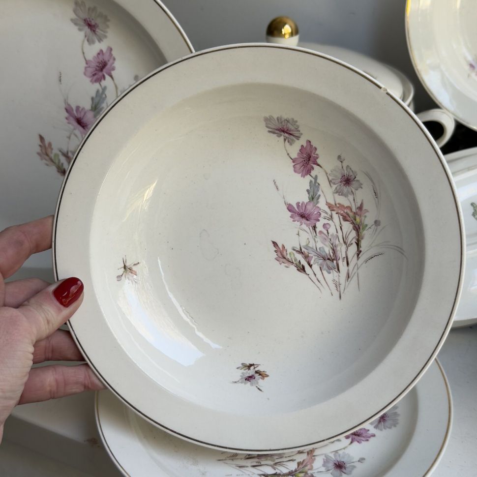 Тарелка глубокая Maastricht Petrus Regout Полевые цветы 22 см Голландия 125 лет