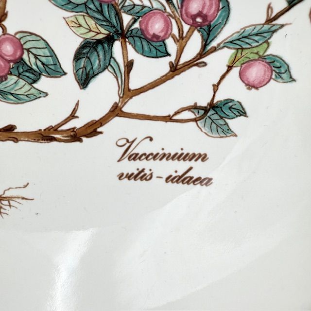 Миска Botanica Vaccinium vitis-idaea 14 см Германия