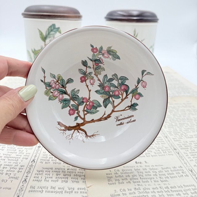 Миска Botanica Vaccinium vitis-idaea 14 см Германия