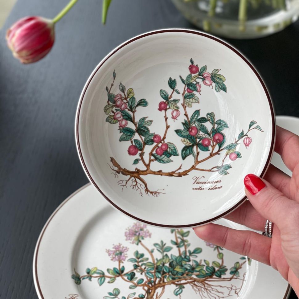 Миска Botanica Vaccinium vitis-idaea 14 см Германия