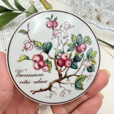 Шкатулка Botanica Vaccinium vitis-ideal 8 см Германия