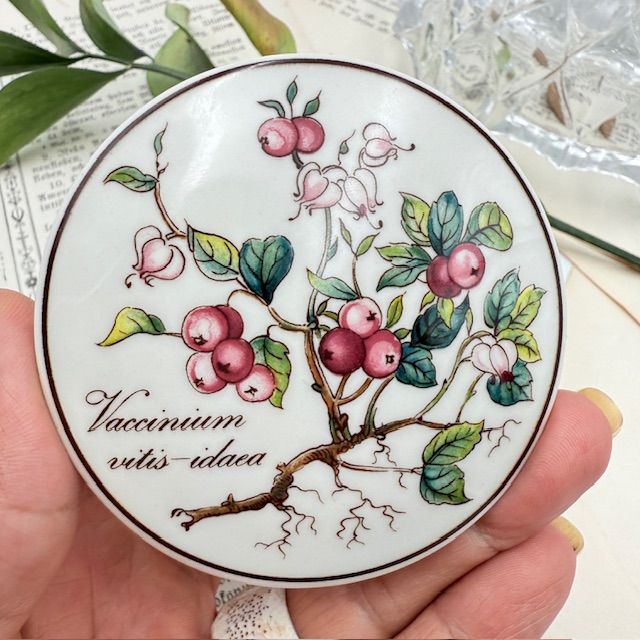 Шкатулка Botanica Vaccinium vitis-ideal 8 см Германия
