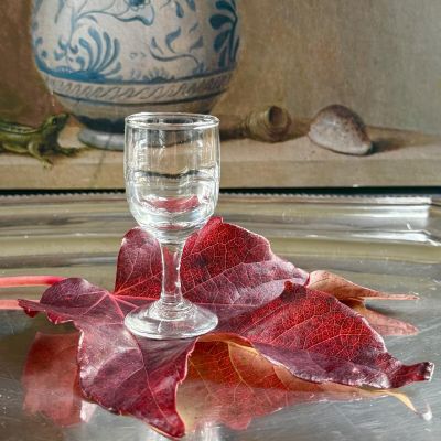 Рюмка Муха 25 мл стекло