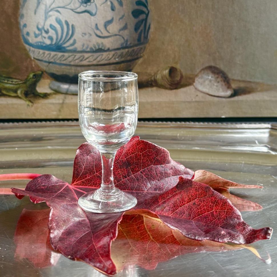 Рюмка Муха 25 мл стекло