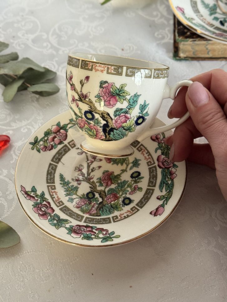 Чайная пара Royal Grafton Indian Tree 180 мл фарфор Англия