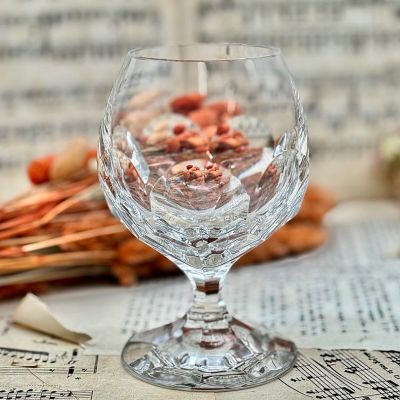 Бокал для бренди ВиллеройБох 270 мл хрусталь Германия