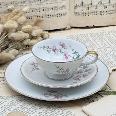 Чайное трио Hutschenreuther Selb Jurvel 200 мл Бавария Германия