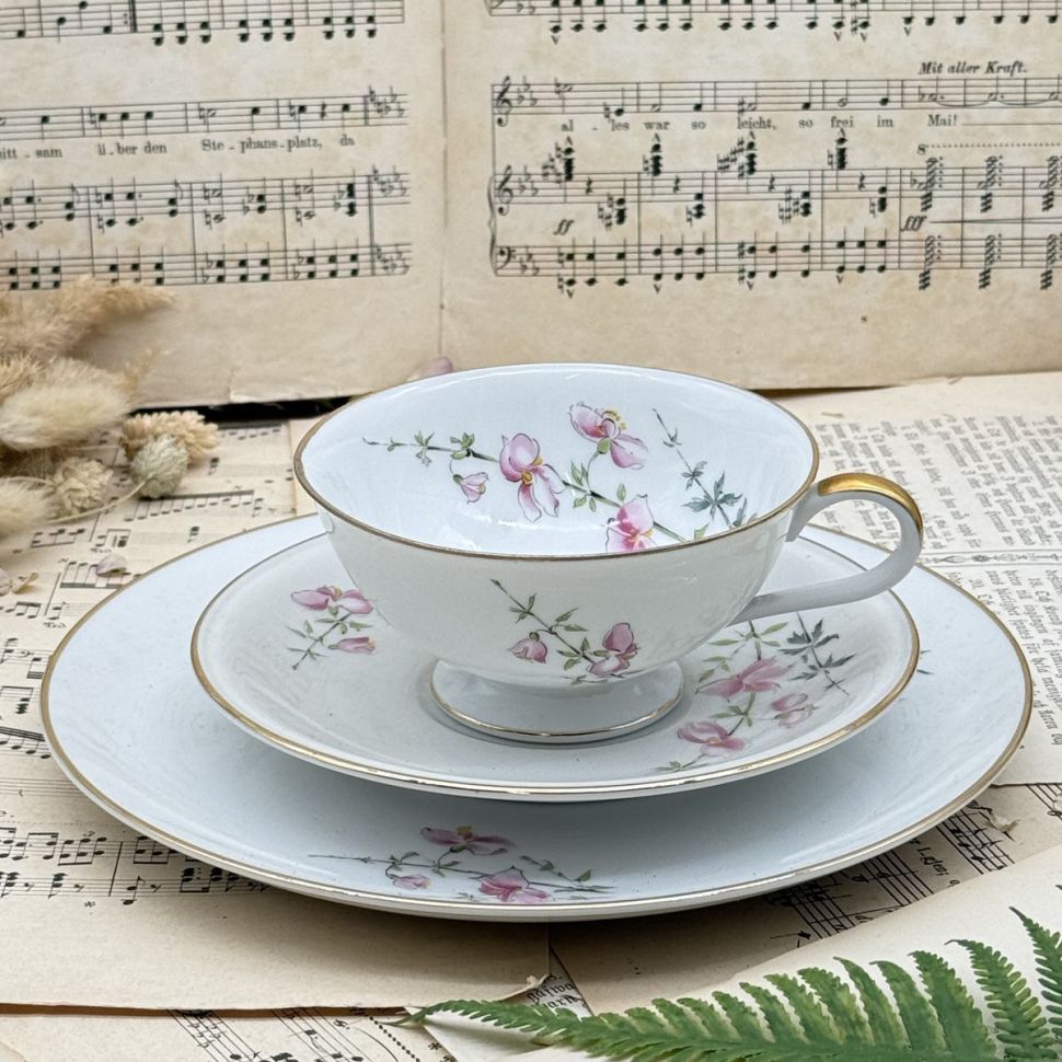 Чайное трио Hutschenreuther Selb Jurvel 200 мл Бавария Германия