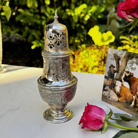 Сифтер 18 см серебрение