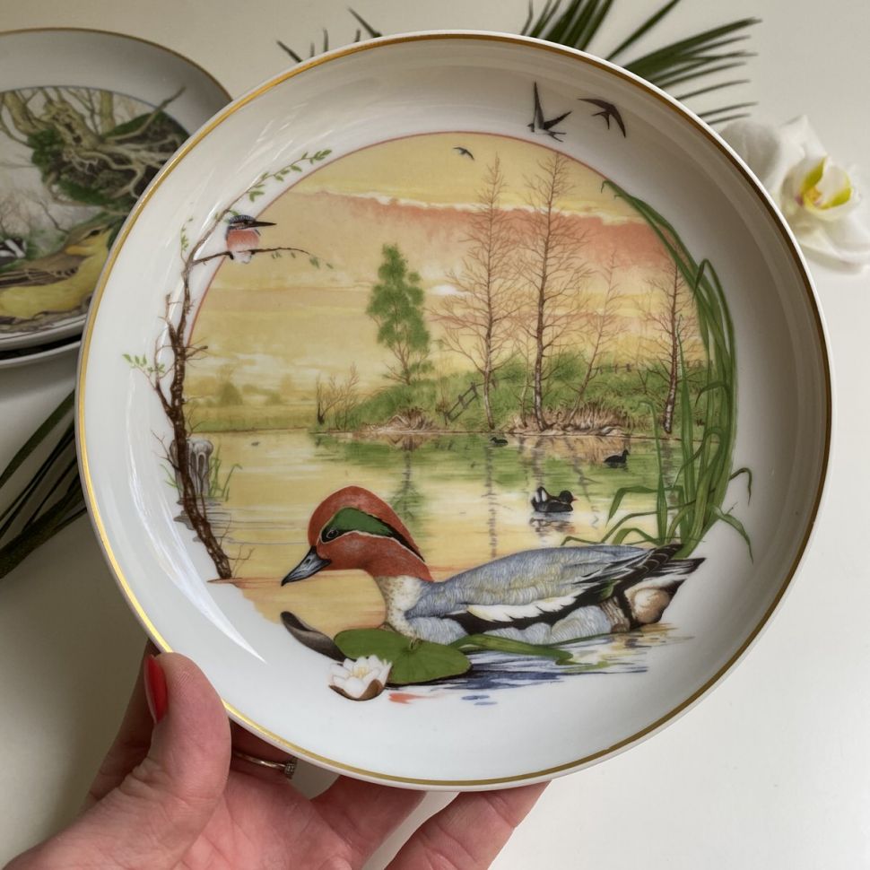 Тарелка Arzberg Birds of the Country Year Май 17 см фарфор Германия