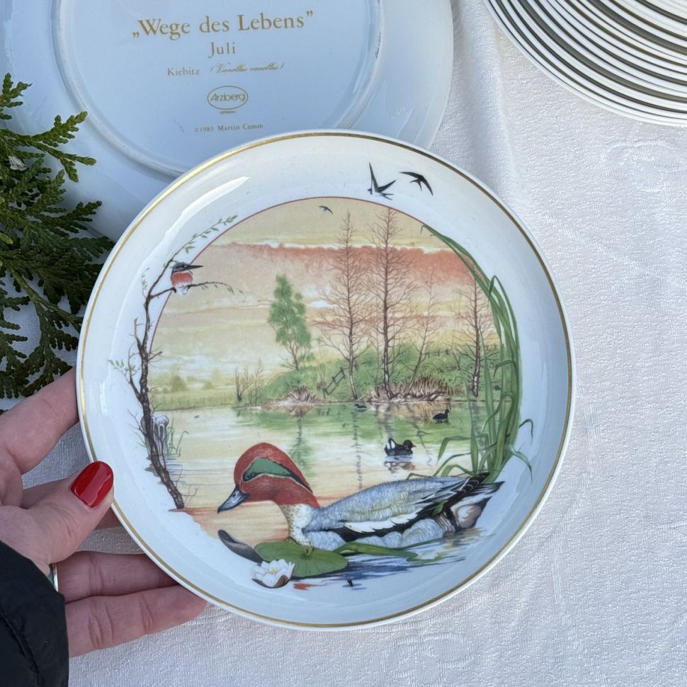 Тарелка Arzberg Birds of the Country Year Май 17 см фарфор Германия