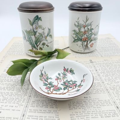 Банка Botanica ВиллеройБох 1 л Coffea arabica