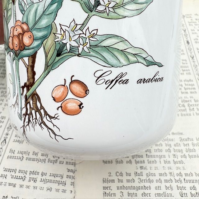 Банка Botanica ВиллеройБох 1 л Coffea arabica