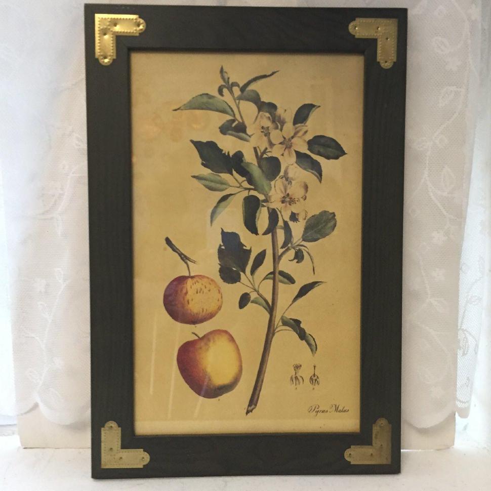 Картина панно Яблоня