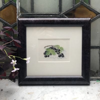 Картина 22х24 см Черная смородина акварель раме под стеклом