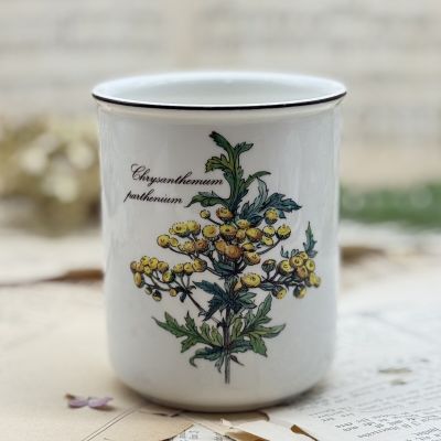 Банка ваза Botanica ВилеройБох 600 мл Пижма