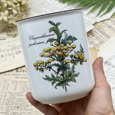 Банка ваза Botanica ВилеройБох 600 мл Пижма
