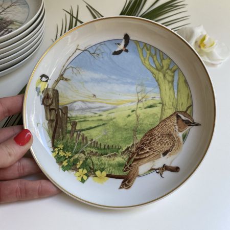 Тарелка Arzberg Birds of the Country Year Март 17 см фарфор Германия