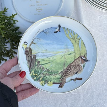 Тарелка Arzberg Birds of the Country Year Март 17 см фарфор Германия