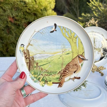 Тарелка Arzberg Birds of the Country Year Март 17 см фарфор Германия