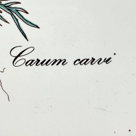 Подставка под горячее Botanica 16 см Carum carvi Германия