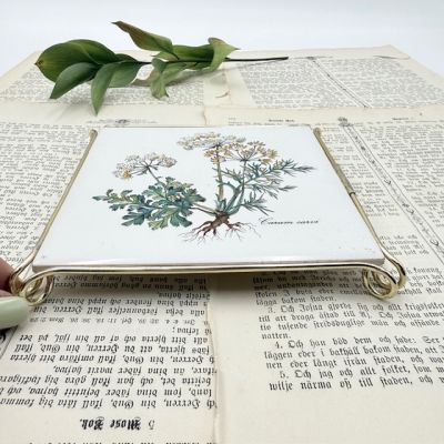 Подставка под горячее Botanica 16 см Carum carvi Германия