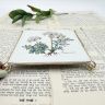Подставка под горячее Botanica 16 см Carum carvi Германия