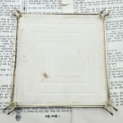 Подставка под горячее Botanica 16 см Carum carvi Германия