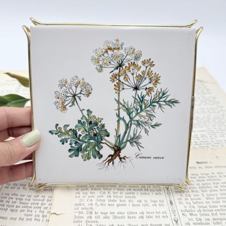 Подставка под горячее Botanica 16 см Carum carvi Германия
