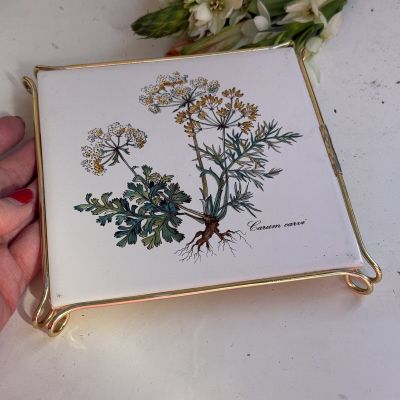 Подставка под горячее Botanica 16 см Carum carvi Германия