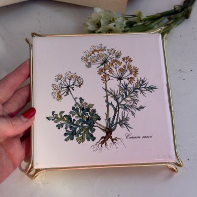 Подставка под горячее Botanica 16 см Carum carvi Германия