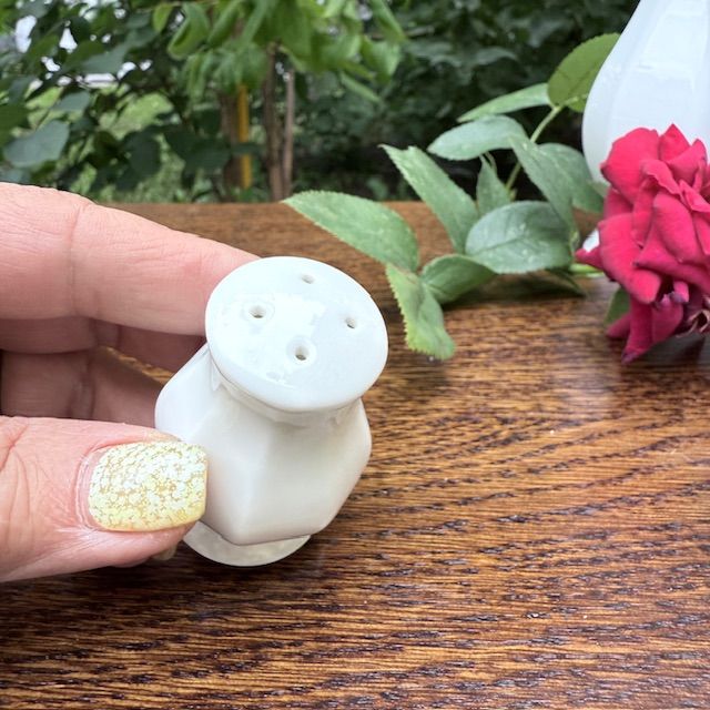 Солонка и перечница Rosenthal Maria Classic Rose белый 5 см Германия