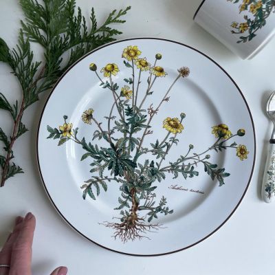 Тарелка Anthemis Botanica 24 см ВиллеройБох c корешком 2 категория