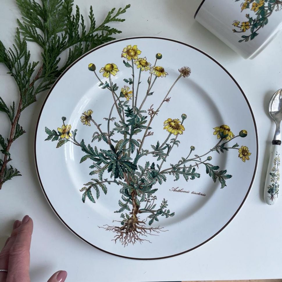 Тарелка Anthemis Botanica 24 см ВиллеройБох c корешком 2 категория