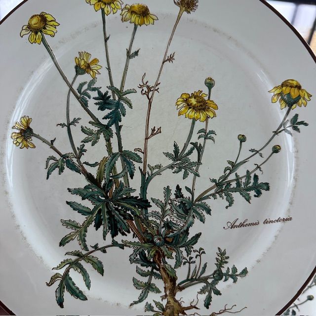 Тарелка Anthemis Botanica 24 см ВиллеройБох c корешком 2 категория