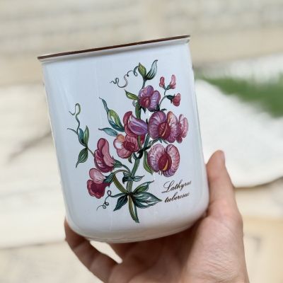 Банка ваза Botanica ВилеройБох 600 мл Сладкий горошек