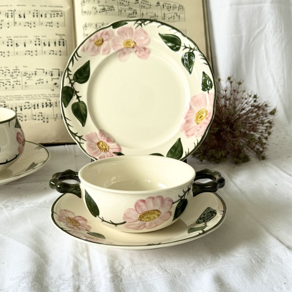 Бульонная пара ВиллеройБох Wild-Rose 400 мл Германия  