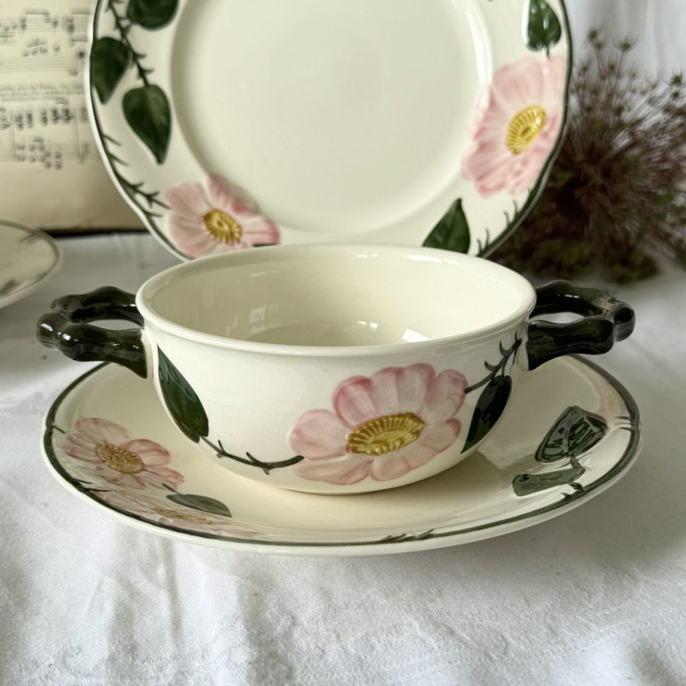 Бульонная пара ВиллеройБох Wild-Rose 400 мл Германия  