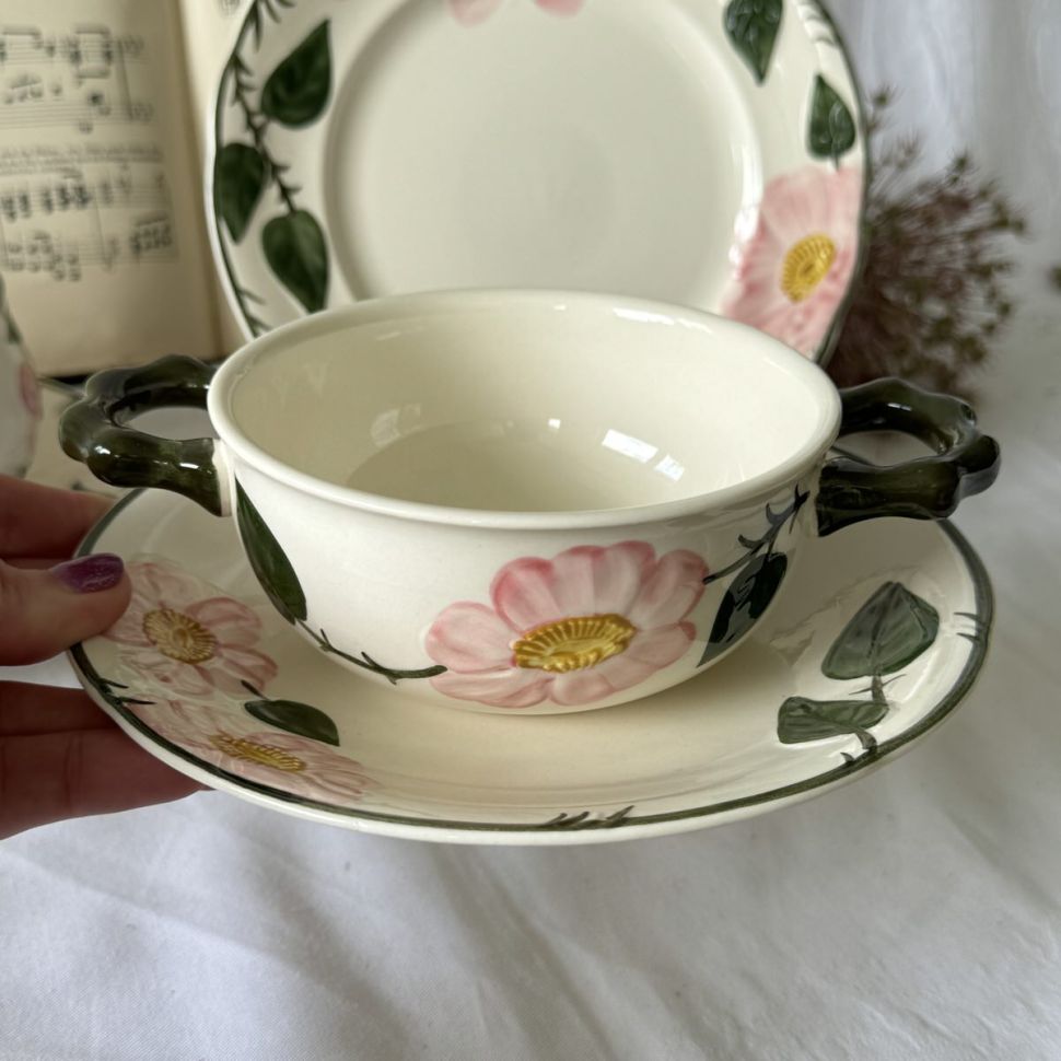 Бульонная пара ВиллеройБох Wild-Rose 400 мл Германия  