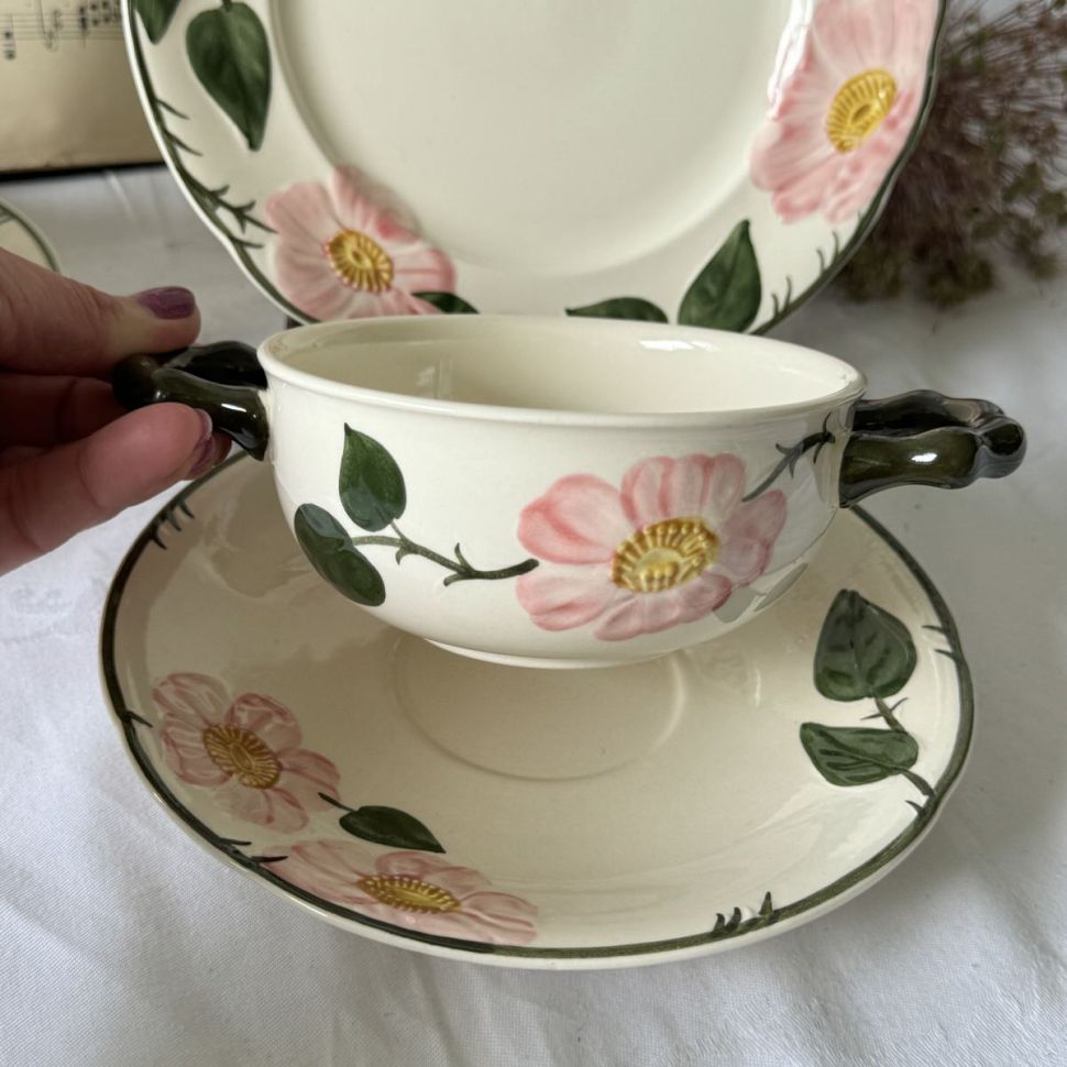 Бульонная пара ВиллеройБох Wild-Rose 400 мл Германия  