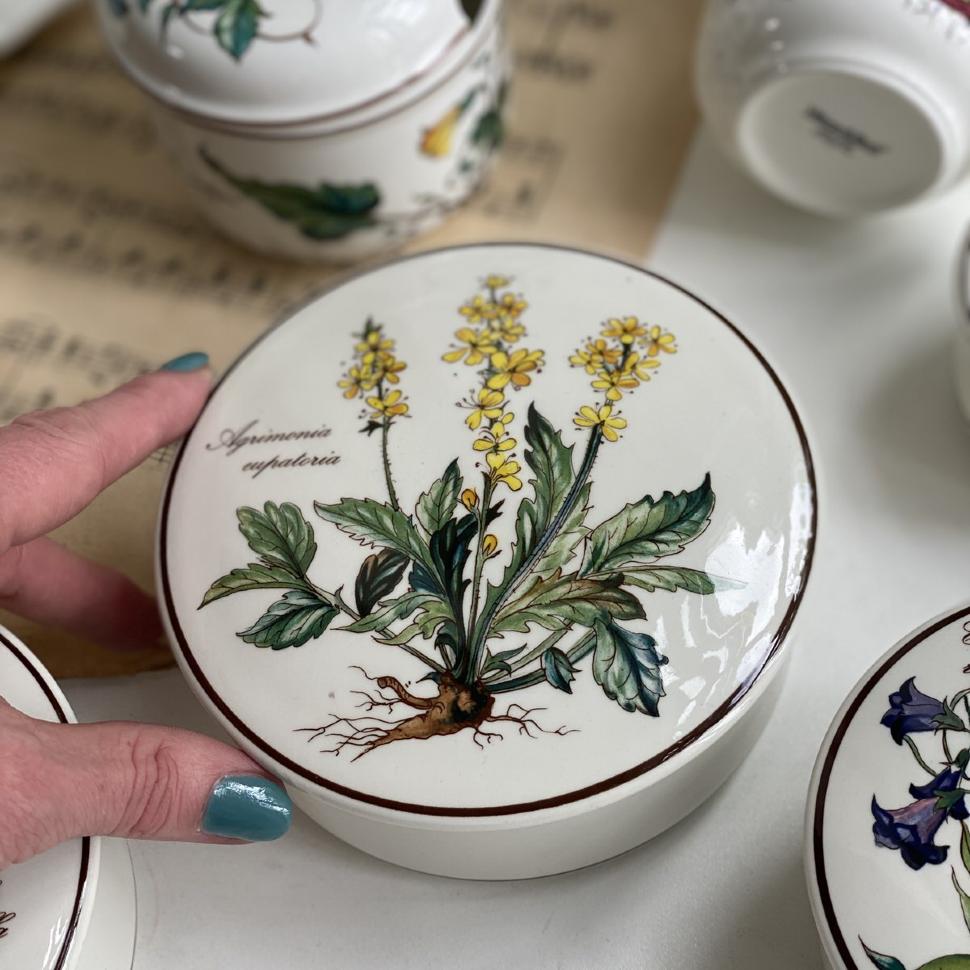 Шкатулка Botanica Agrimonia eupatoria 13 см ВиллеройБох