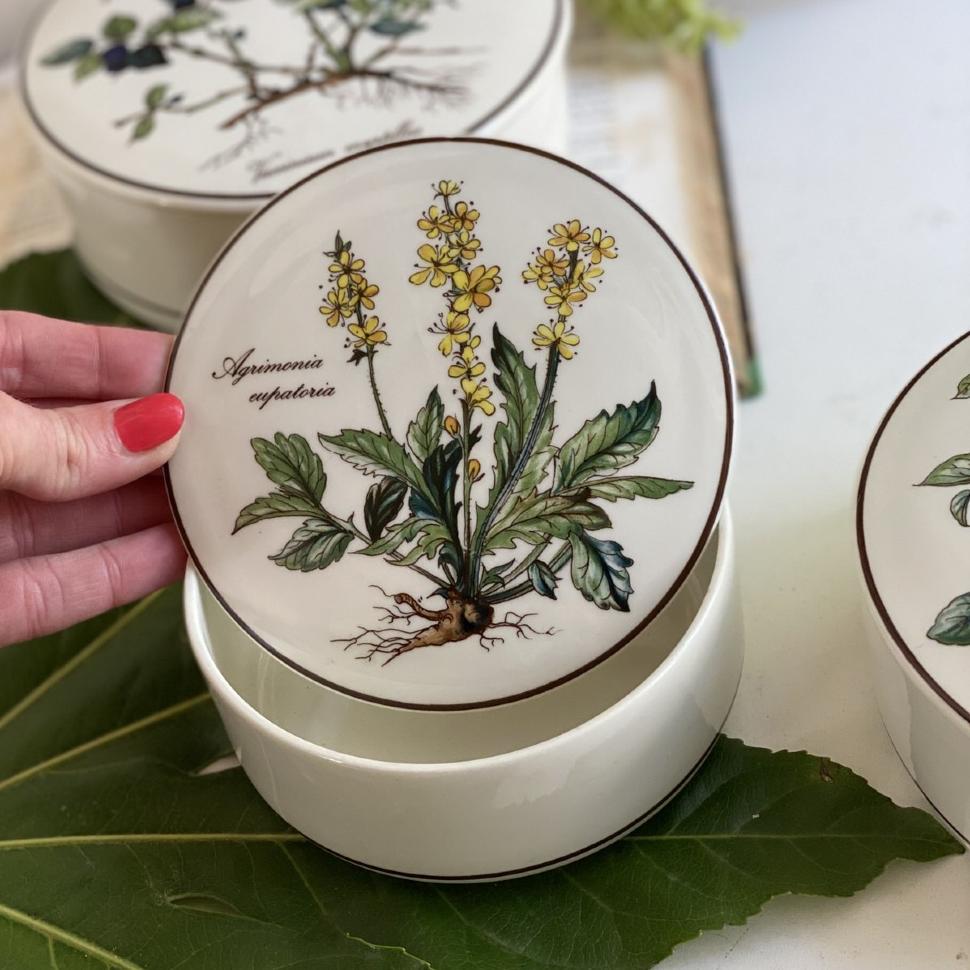 Шкатулка Botanica Agrimonia eupatoria 13 см ВиллеройБох