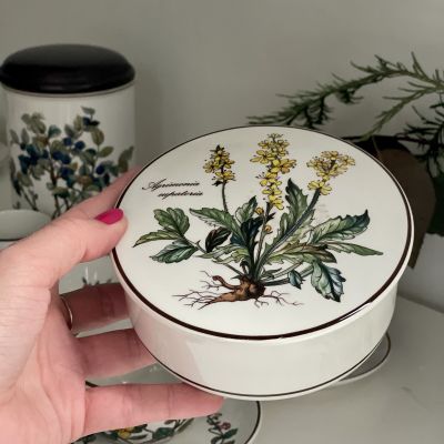 Шкатулка Botanica Agrimonia eupatoria 13 см ВиллеройБох