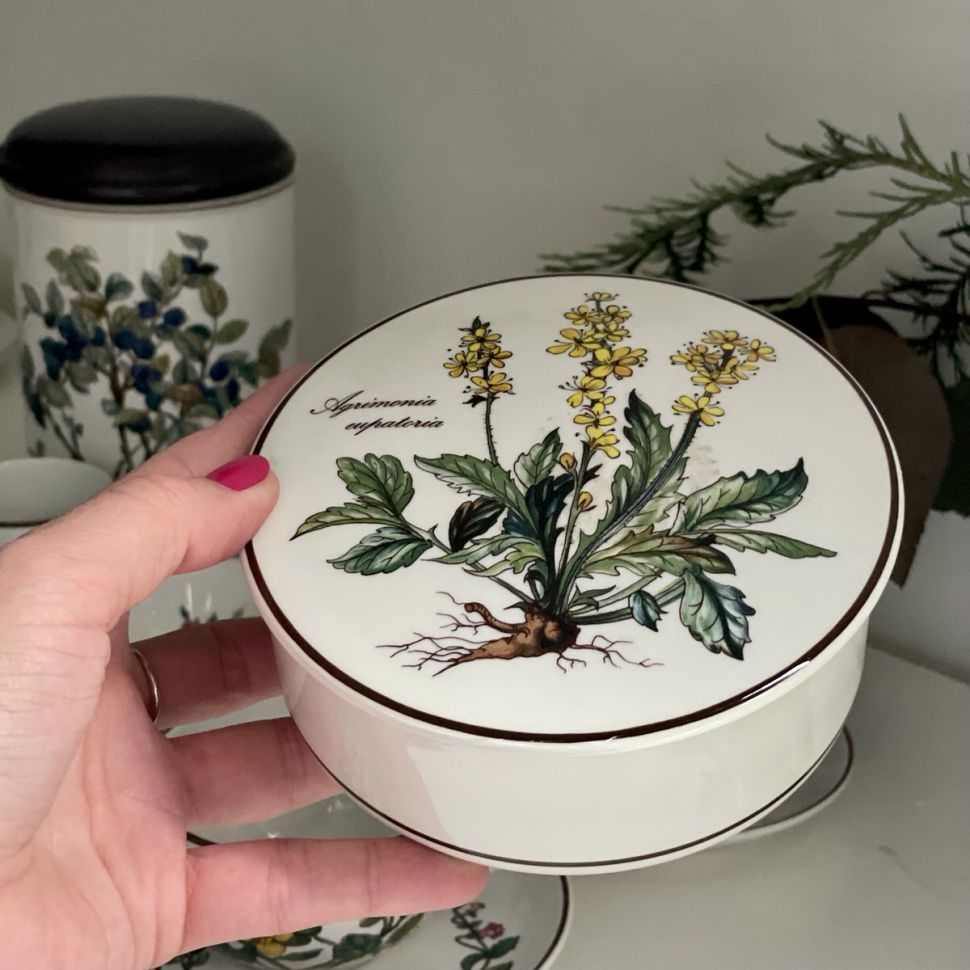 Шкатулка Botanica Agrimonia eupatoria 13 см ВиллеройБох